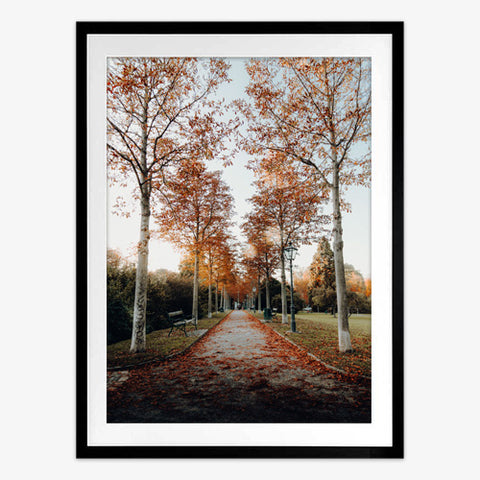 Autumn Ambience Art Print