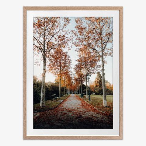 Autumn Ambience Art Print