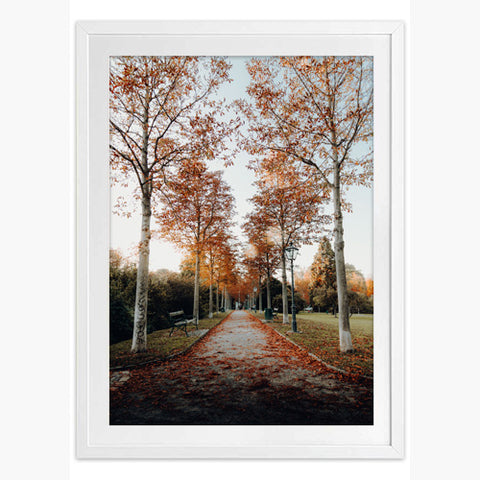 Autumn Ambience Art Print