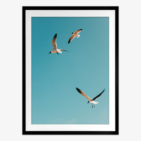 Flying High Art Print