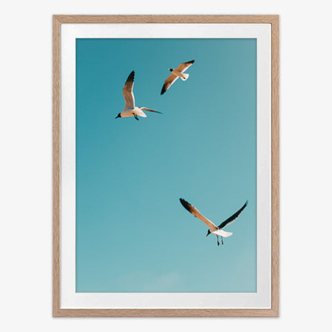 Flying High Art Print