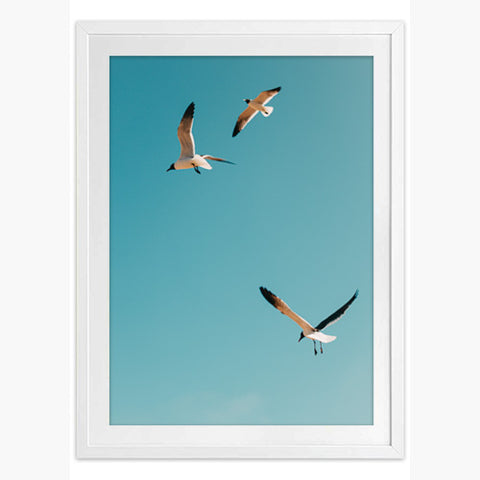 Flying High Art Print