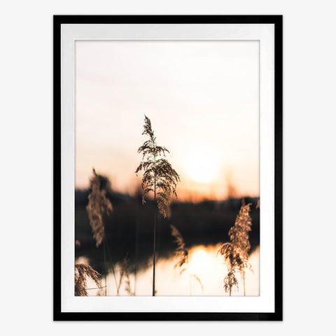 Golden Hour Art Print