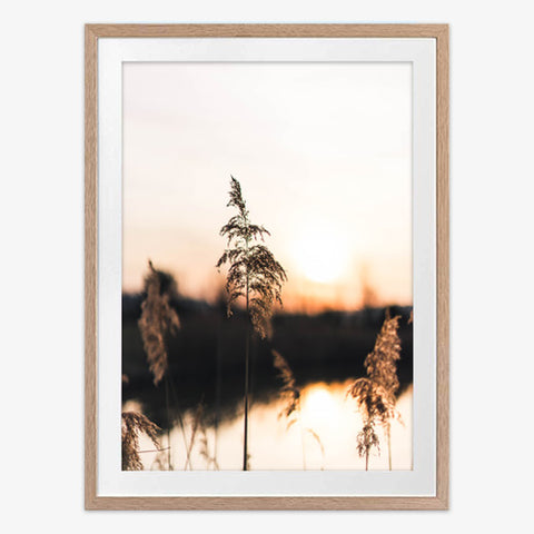 Golden Hour Art Print