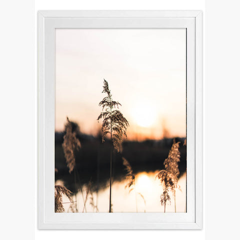 Golden Hour Art Print