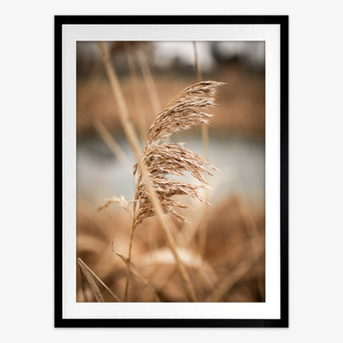 In the Wind Art Print