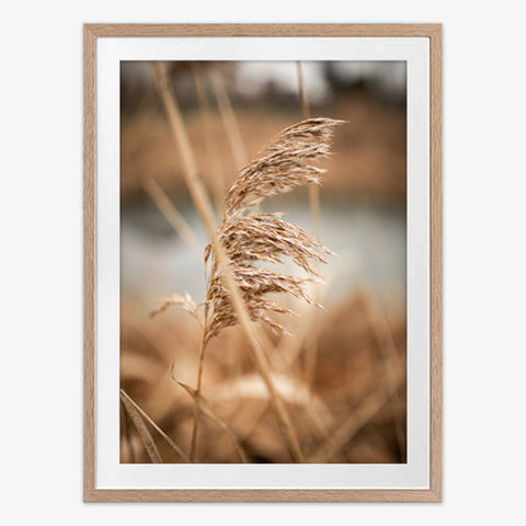 In the Wind Art Print