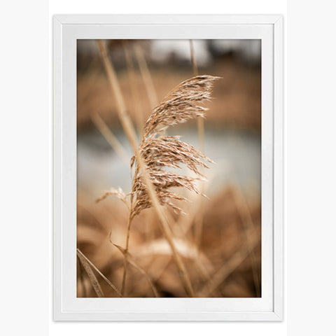 In the Wind Art Print