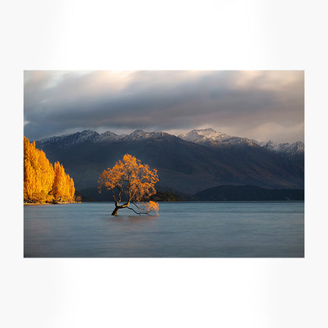 Wanaka Wanders Art Print